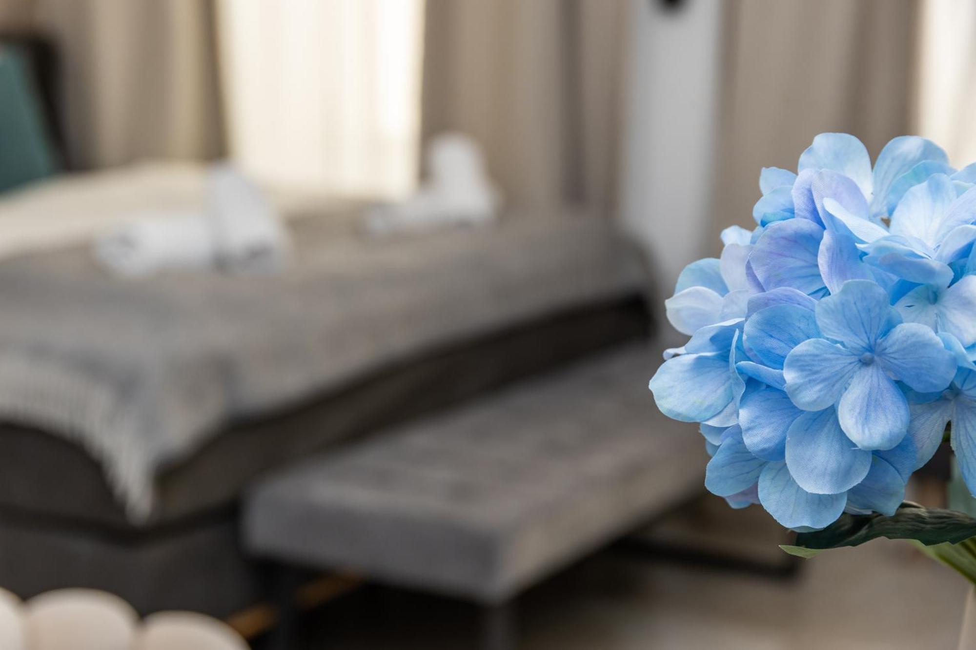 Apartament Boutique Near Centre *